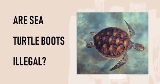 Are Sea Turtle Boots Illegal?