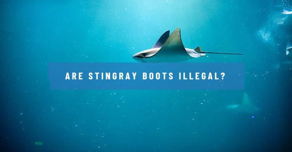 Are Stingray Boots Illegal? – Unraveling the Truth