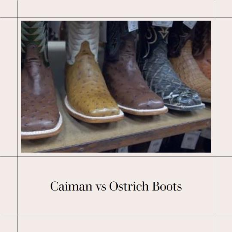Caiman vs Ostrich Boots: Comparing 2 Popular Exotic Boot Leathers