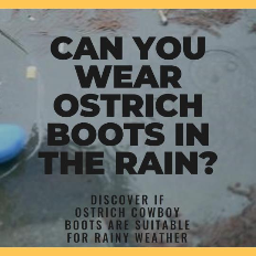 Can you wear ostrich leather boots in the rain?