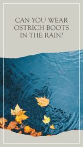 Can You Wear Ostrich Boots in the Rain? It's Best Not To Do It