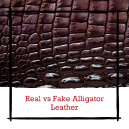 How Can You Tell the Difference Between Real and Fake Alligator Leather? – Expert Insights